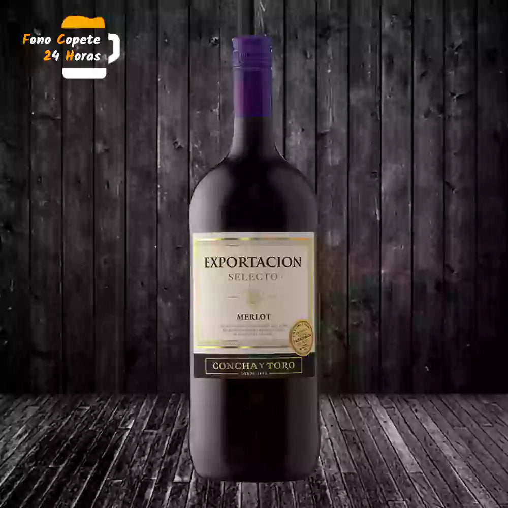 Botellon Merlot Concha Y Toro Exportacion 1.5 lt